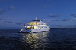 Horizon III Liveaboard - Maldives. 